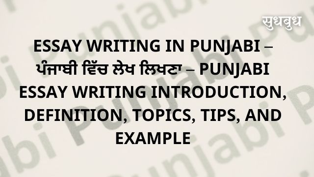 essay on market in punjabi